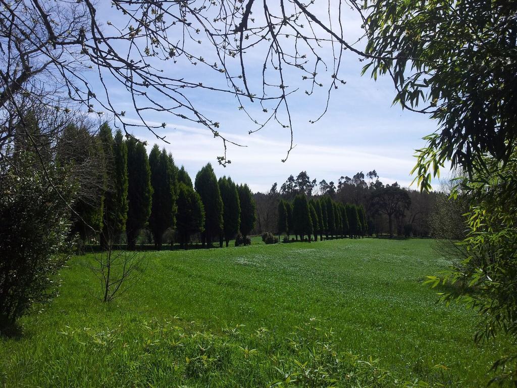 Penzion Pazo De Andeade Exteriér fotografie