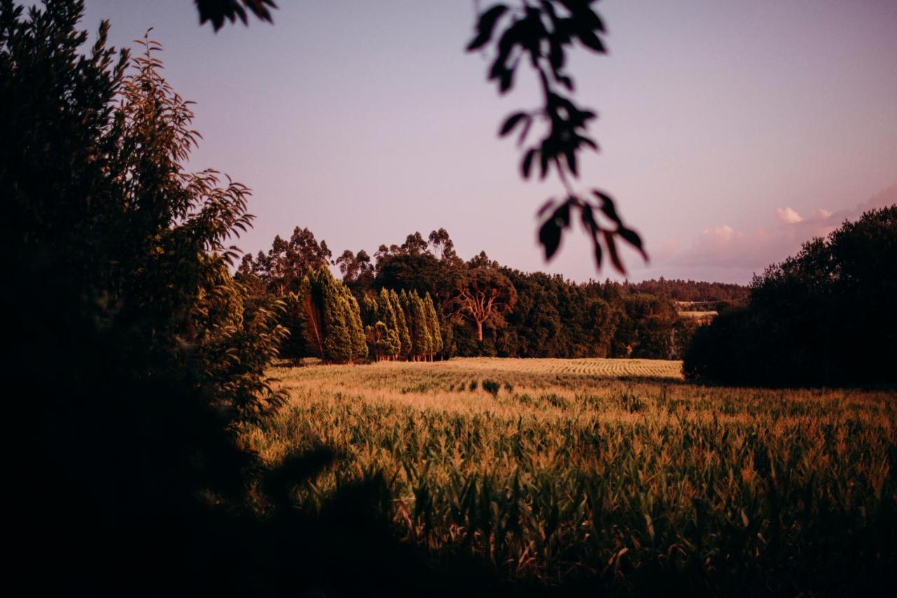 Penzion Pazo De Andeade Exteriér fotografie